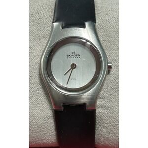 Skagen Womens 235SSR Quartz Watch Original Band New Battery
